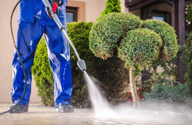 walkway washing Edwardsville IL Pressure Washing Services Collinsville IL